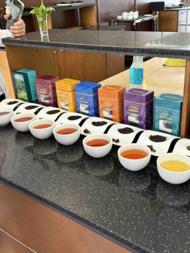 tea-town-plantation-teas-colourful