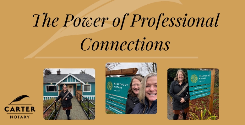The Power of Professional Connection